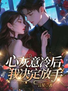 《心灰意冷后，我决定放手》小说章节列表在线试读 徐志远梁沐繁小说全文