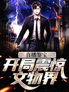 直播鉴宝，开局震惊文物界林弦刘慧茹免费在线全文阅读