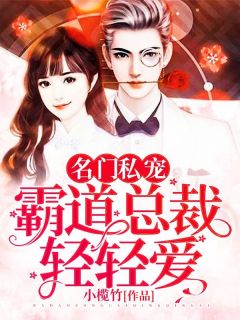 《名门私宠：霸道总裁轻轻爱》小说章节列表精彩阅读 舒清顾盛钦第5章小说阅读