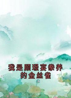 《我是顾璟宴豢养的金丝雀》秦丝丝顾璟宴4完结版在线试读