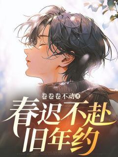 春迟不赴旧年约完整版小说在线阅读地址 主角江书程盛婉宁
