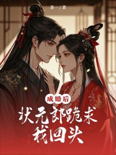 主角是成婚后，状元郎跪求我回头的小说  第三章