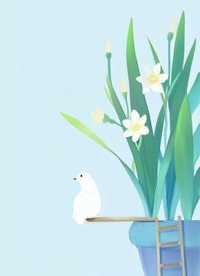 《陆骁沈念秋》以香为饵，请愿者上钩章节列表在线试读