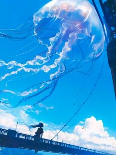 《我靠老公生九子，继承他百亿家产》小说大结局在线阅读 江迟沈月 第1章 1小说全文