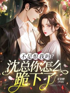 云舒窈沈惊寒不是恨我吗？沈总你怎么跪下了目录 云舒窈沈惊寒小说阅读