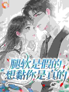 《沈宁雪顾怀瑾》小说章节列表在线阅读 当头昏遇上二婚小说阅读