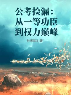 《公考捡漏：从一等功臣到权力巅峰》小说全文精彩试读 叶辰陈雪小说全文