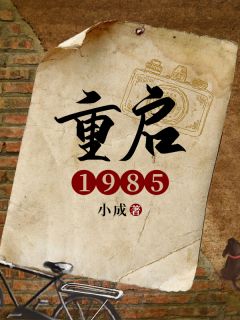 《重启1985》盛天刘芊羽全文免费试读
