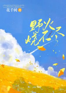 《野火烧不尽》小说章节列表精彩试读 江野陆君炎小说全文
