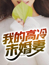《我的高冷未婚妻》许木夏雨晴小说全文阅读