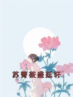 苏菁莜盛廷轩(佚名)最佳创作小说全文在线阅读