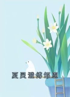 夏灵澄傅邹恩小说无广告阅读