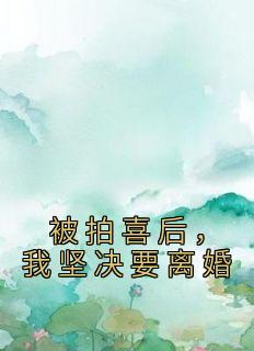 抖音小说《被拍喜后，我坚决要离婚》林芳杨维达全文txt