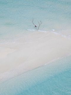 《奇葩嫂子》小说全文精彩阅读 珍珍佳佳小说阅读