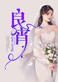 《灰姑娘的晚礼服》小说最新章节免费阅读（精彩章节未删节）