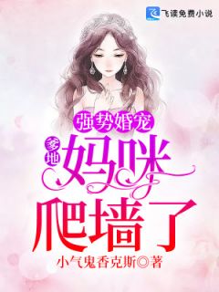 《少帅的替嫁新娘》苏若轻冷宇赫小说最新章节目录及全文完整版